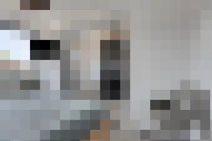 Lage Geeren 14 Hoogland thumbnail 23