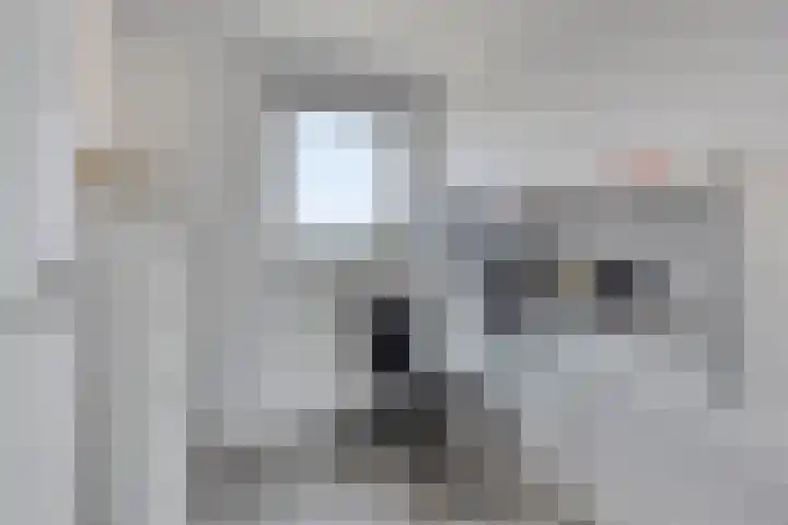Lage Geeren 14 Hoogland thumbnail 31