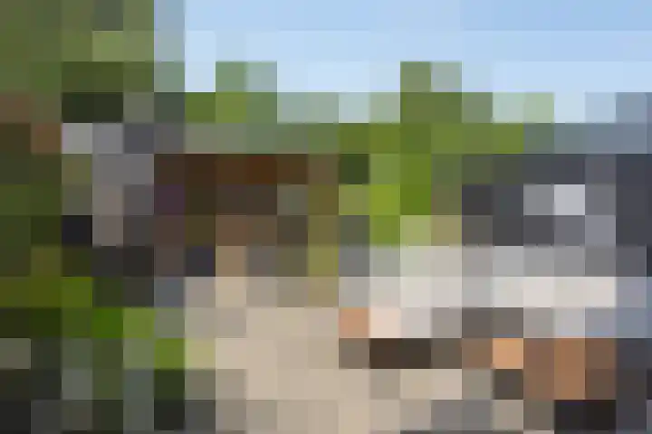 Lage Geeren 14 Hoogland thumbnail 34