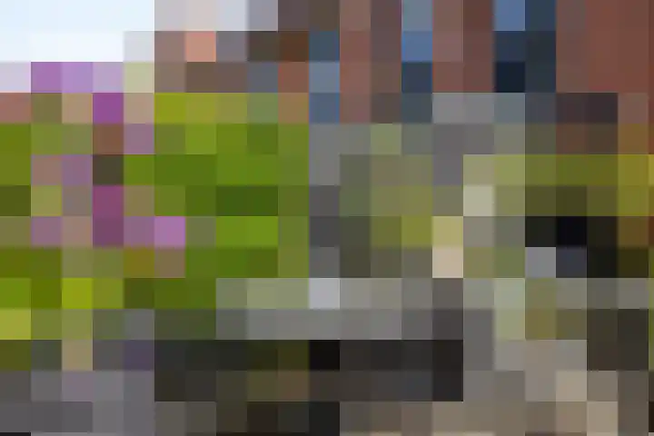 Lage Geeren 14 Hoogland thumbnail 36