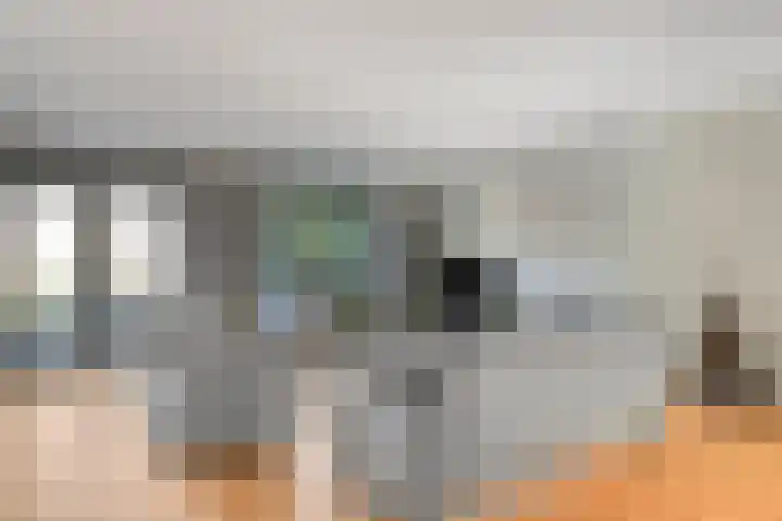 Lage Geeren 23 Hoogland thumbnail 10