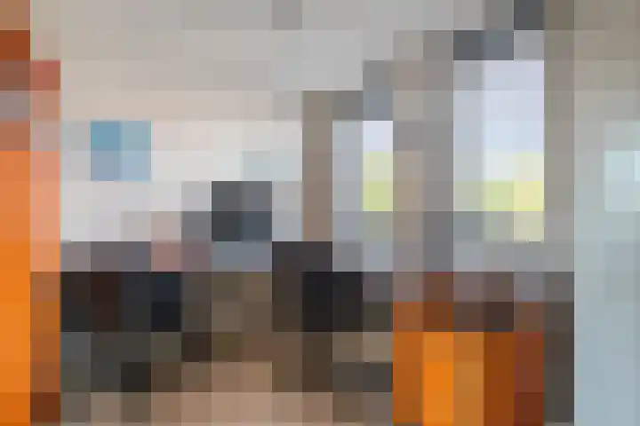 Lage Geeren 23 Hoogland thumbnail 23