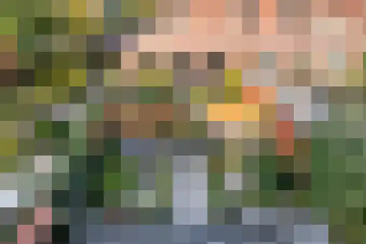 Lage Geeren 23 Hoogland thumbnail 34