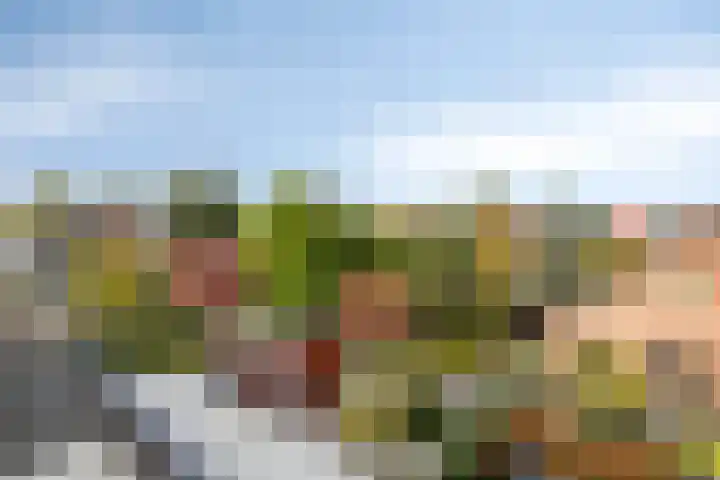 Lage Geeren 23 Hoogland thumbnail 35