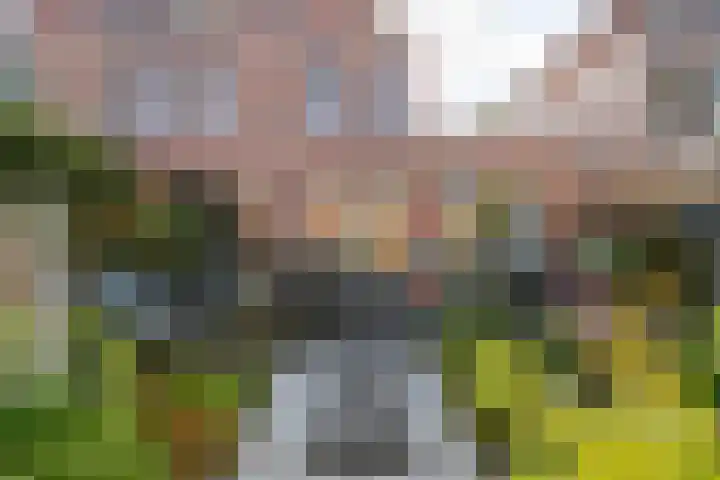 Lage Geeren 23 Hoogland thumbnail 39