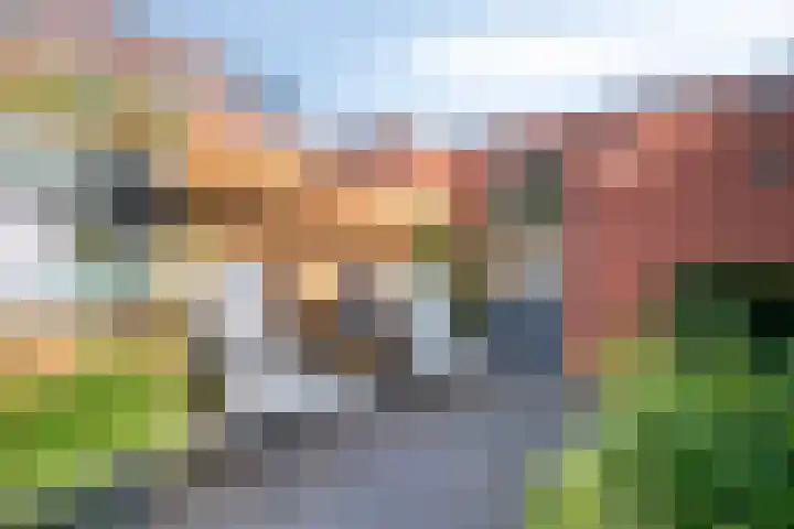 Lage Geeren 23 Hoogland thumbnail 42