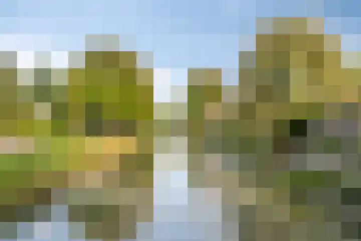 Lage Geeren 23 Hoogland thumbnail 48