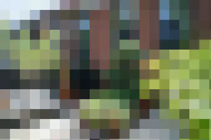 Lage Geeren 24 Hoogland thumbnail 27