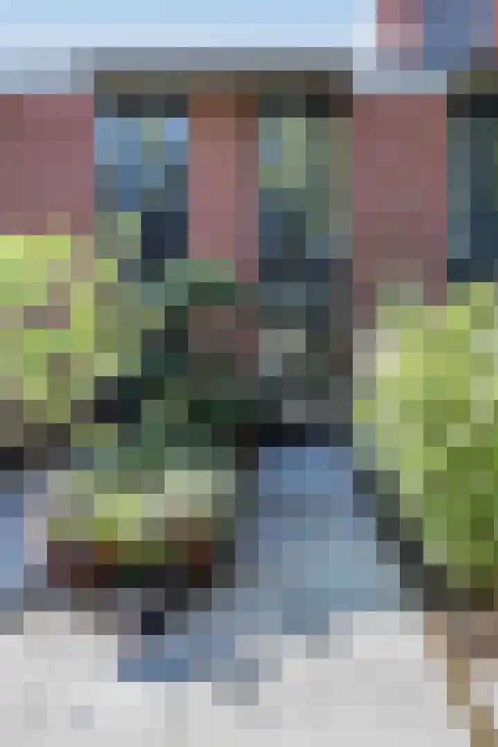 Lage Geeren 24 Hoogland thumbnail 30