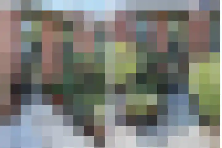 Lage Geeren 24 Hoogland thumbnail 31