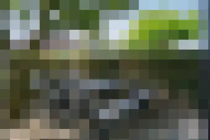 Lage Geeren 24 Hoogland thumbnail 34