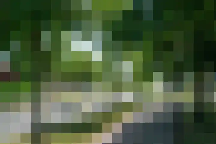 Lage Geeren 24 Hoogland thumbnail 36