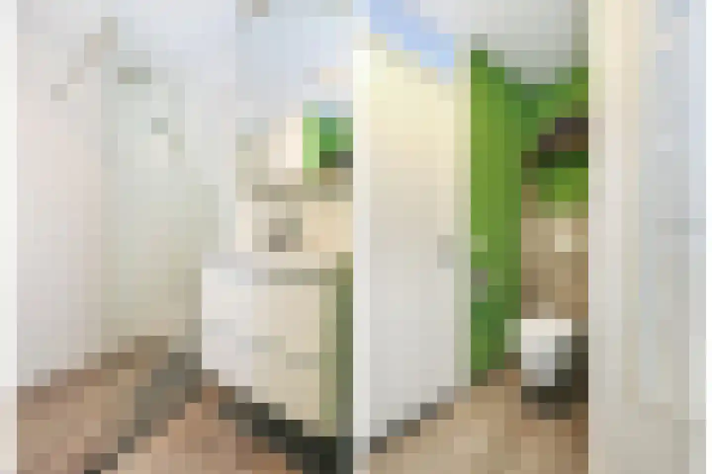Lage Geeren 26 Hoogland thumbnail 21