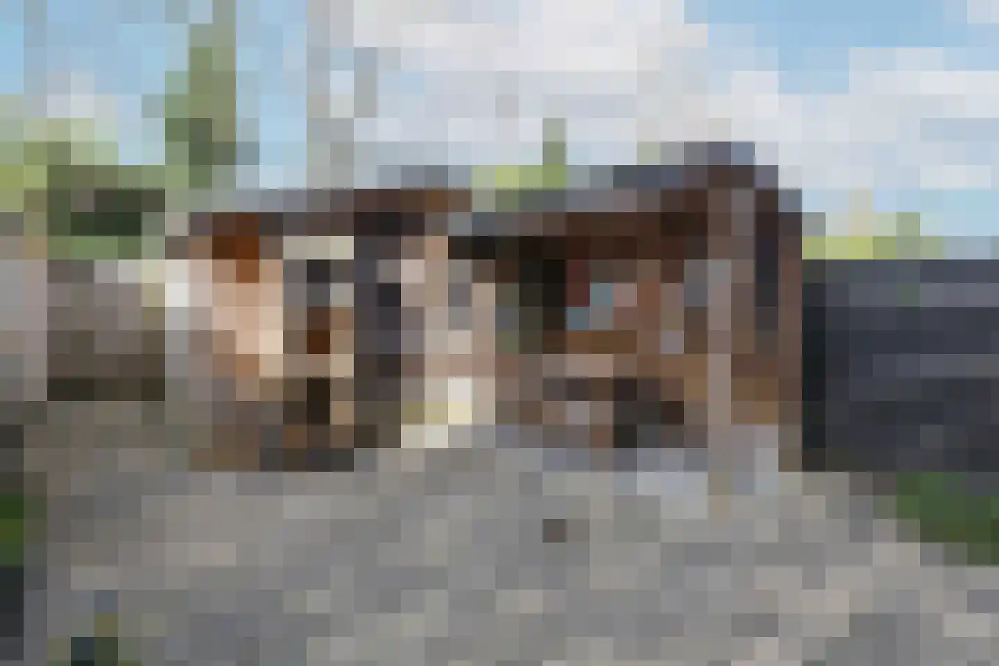 Lage Geeren 26 Hoogland thumbnail 5