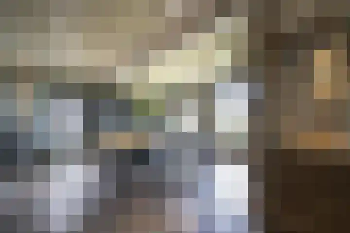 Lage Giessen 16 Hoornaar thumbnail 10