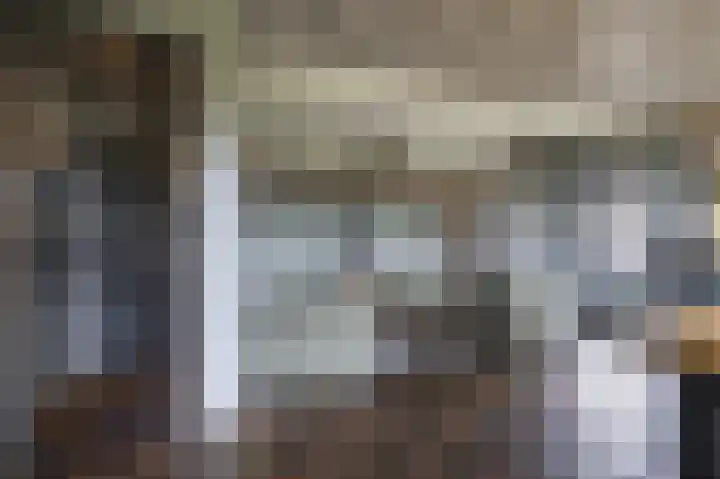Lage Giessen 16 Hoornaar thumbnail 11