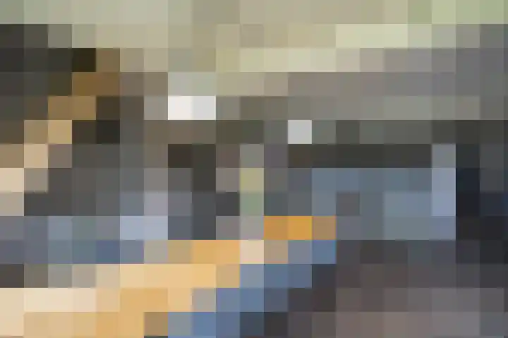 Lage Giessen 16 Hoornaar thumbnail 12