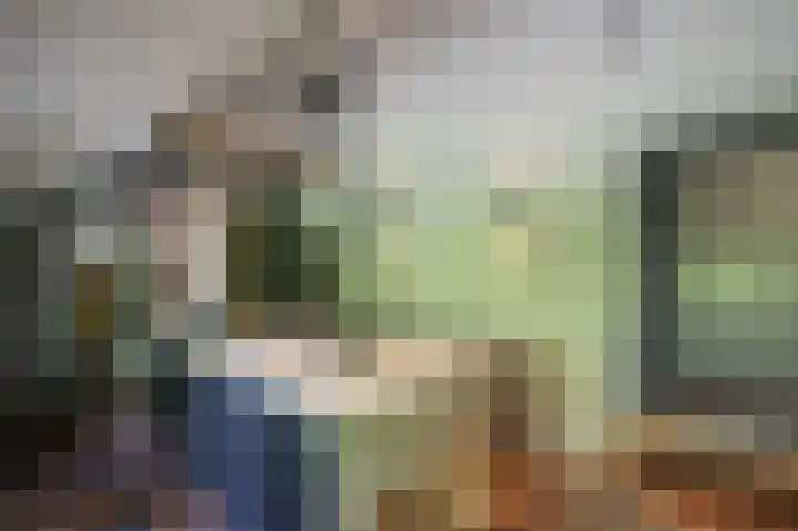 Lage Giessen 16 Hoornaar thumbnail 18