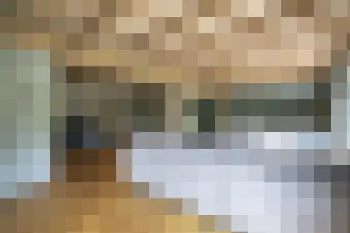Lage Giessen 16 Hoornaar thumbnail 20