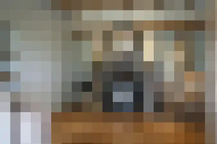 Lage Giessen 16 Hoornaar thumbnail 21