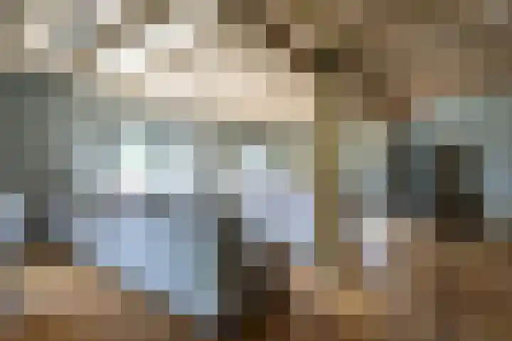 Lage Giessen 16 Hoornaar thumbnail 22