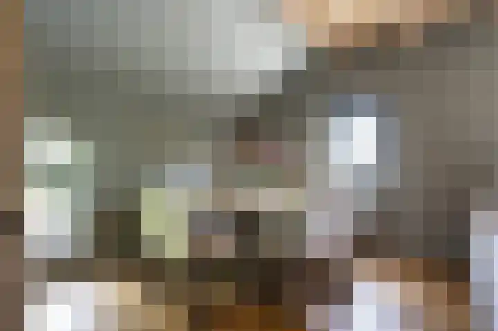 Lage Giessen 16 Hoornaar thumbnail 23