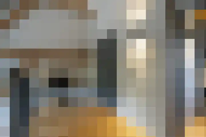 Lage Giessen 16 Hoornaar thumbnail 25
