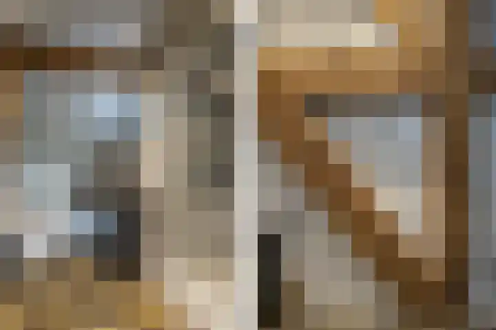 Lage Giessen 16 Hoornaar thumbnail 26