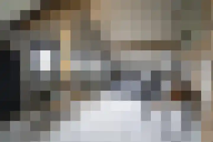 Lage Giessen 16 Hoornaar thumbnail 27