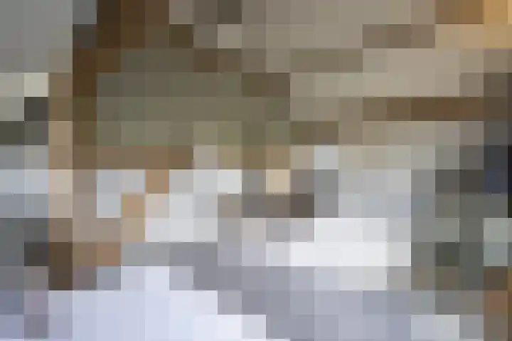 Lage Giessen 16 Hoornaar thumbnail 28