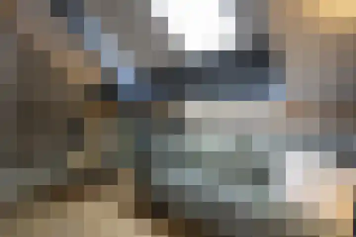 Lage Giessen 16 Hoornaar thumbnail 29