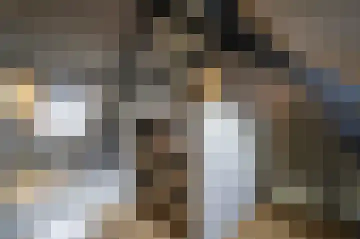 Lage Giessen 16 Hoornaar thumbnail 30