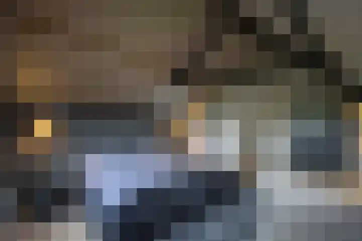 Lage Giessen 16 Hoornaar thumbnail 31