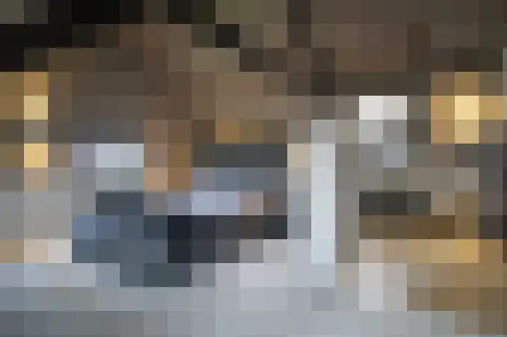 Lage Giessen 16 Hoornaar thumbnail 32