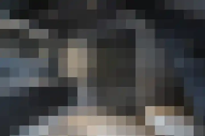 Lage Giessen 16 Hoornaar thumbnail 33