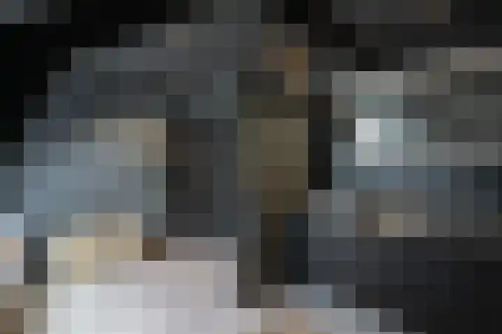 Lage Giessen 16 Hoornaar thumbnail 34