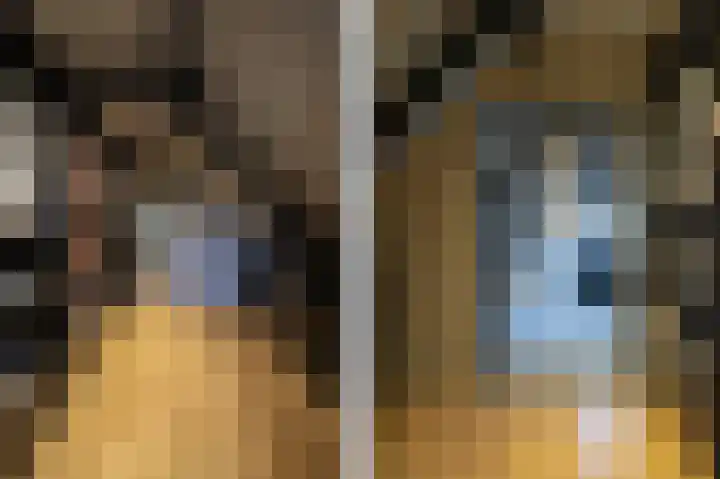 Lage Giessen 16 Hoornaar thumbnail 36