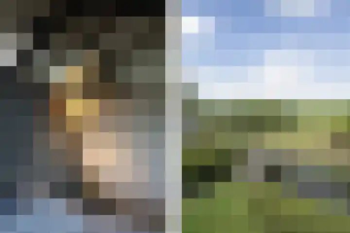 Lage Giessen 16 Hoornaar thumbnail 37