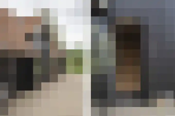 Lage Giessen 16 Hoornaar thumbnail 42