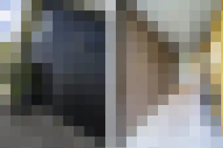 Lage Giessen 16 Hoornaar thumbnail 43