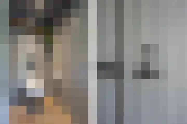 Lage Giessen 16 Hoornaar thumbnail 45