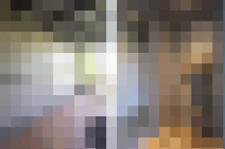 Lage Giessen 16 Hoornaar thumbnail 46