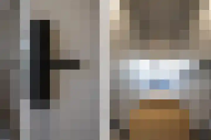 Lage Giessen 16 Hoornaar thumbnail 48