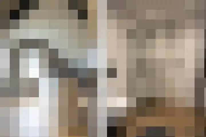 Lage Giessen 16 Hoornaar thumbnail 49