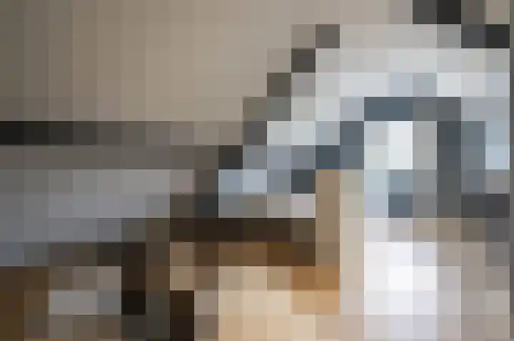 Lage Giessen 16 Hoornaar thumbnail 50