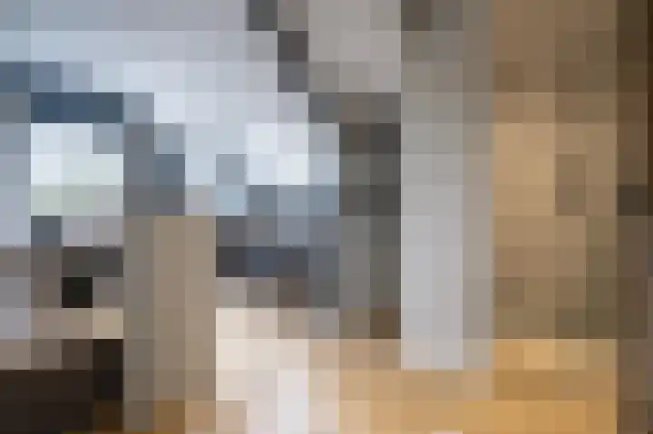 Lage Giessen 16 Hoornaar thumbnail 51