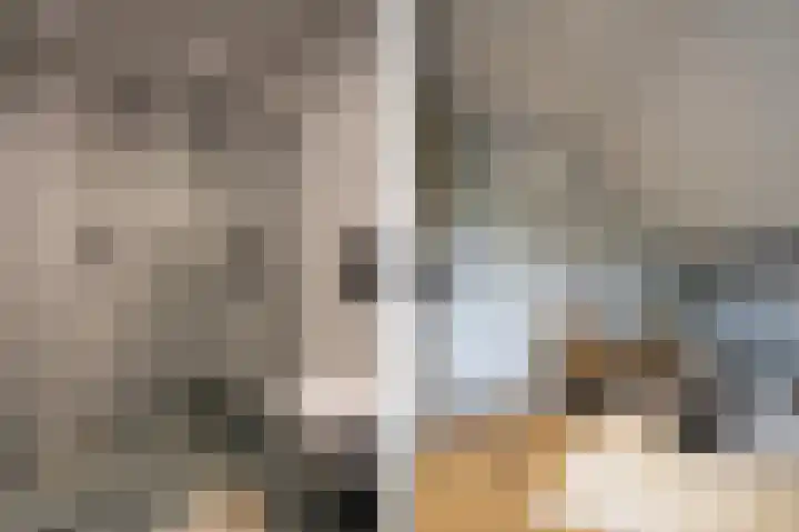 Lage Giessen 16 Hoornaar thumbnail 52