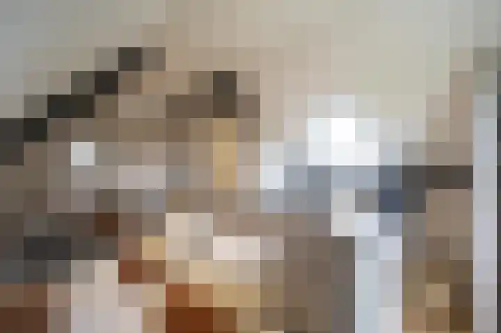 Lage Giessen 16 Hoornaar thumbnail 53
