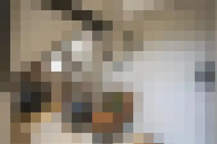 Lage Giessen 16 Hoornaar thumbnail 54