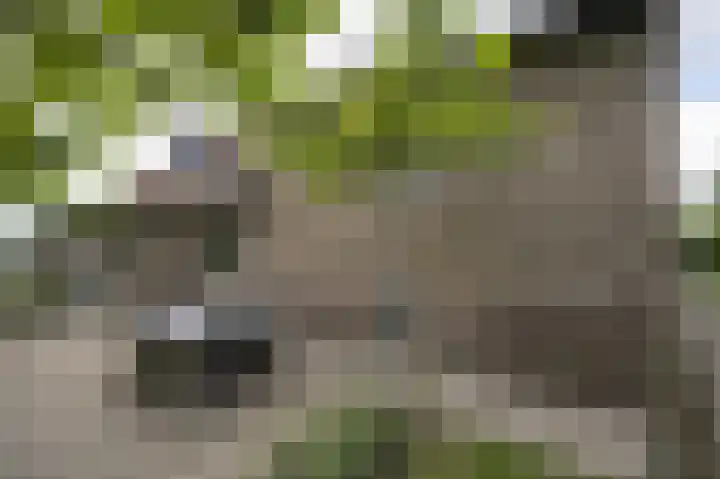 Lage Giessen 16 Hoornaar thumbnail 57